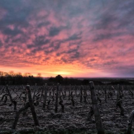 La Maison De Lucien, Gite Au Coeur Du Vignoble Chablisien Villa Préhy Eksteriør bilde